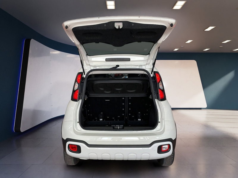Fiat Panda usata a Torino (8)