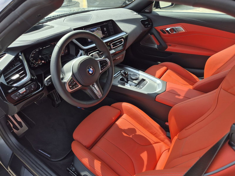 BMW Z4 Cabrio usata  (6)