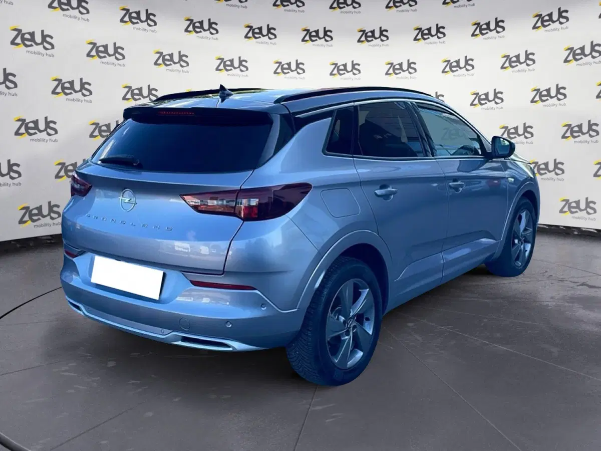 Opel Grandland usata a Bologna (6)