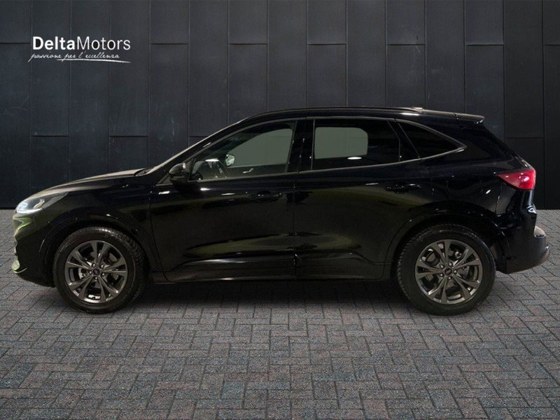 Ford Kuga usata a Ancona (2)