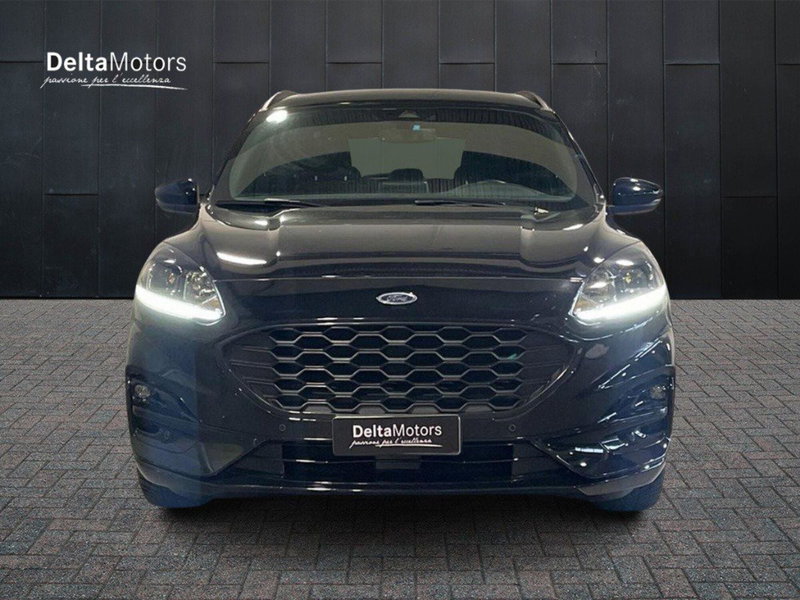 Ford Kuga usata a Ancona (6)