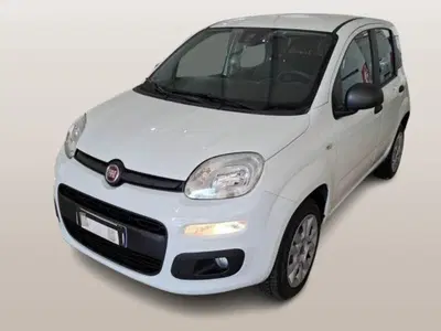 Fiat Panda 0.9 TwinAir Turbo Natural Power Easy del 2018 usata a Ancona