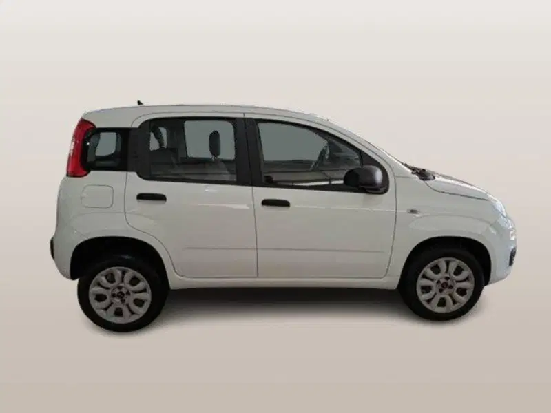 Fiat Panda usata a Ancona (3)