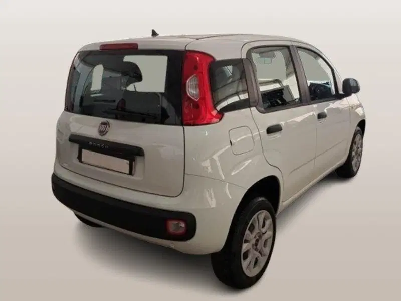 Fiat Panda usata a Ancona (4)