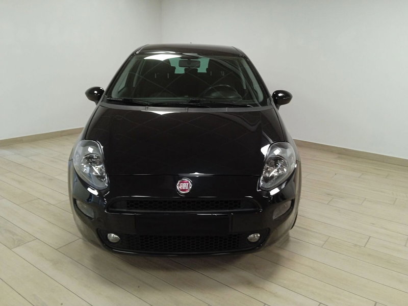 Fiat Punto usata a Torino (2)