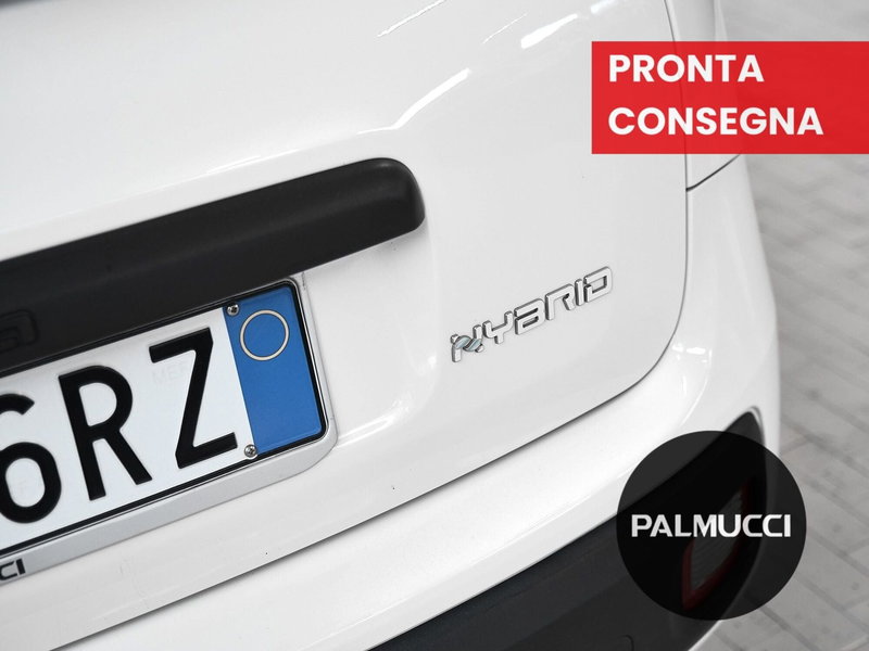 Fiat Panda Cross usata a Prato (10)