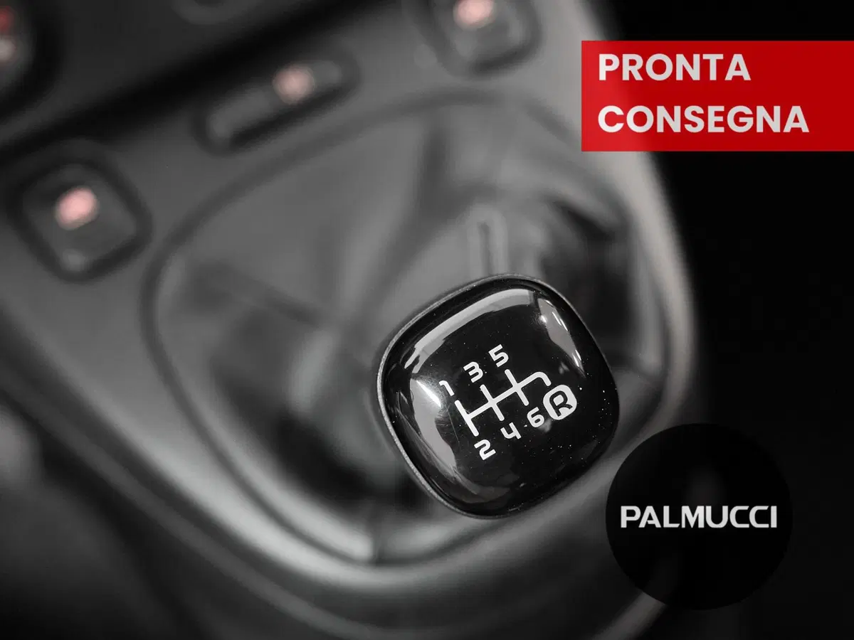 Fiat Panda Cross usata a Prato (11)