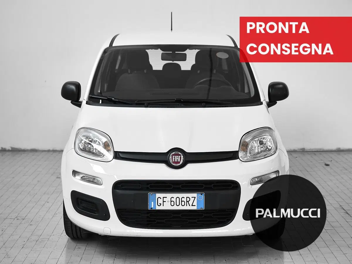 Fiat Panda Cross usata a Prato (2)