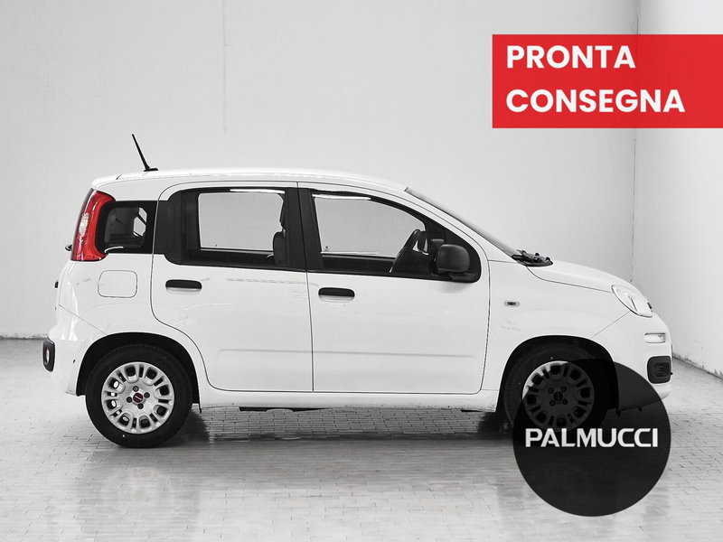 Fiat Panda Cross usata a Prato (4)