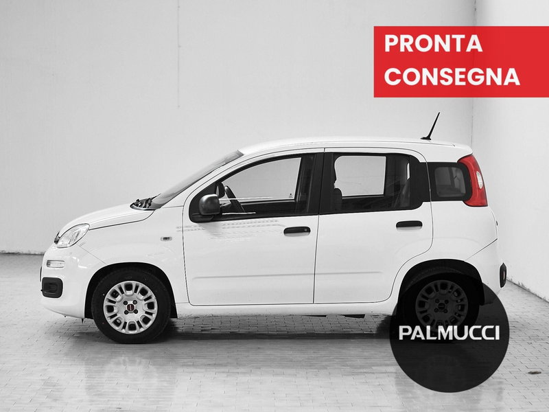Fiat Panda Cross usata a Prato (5)
