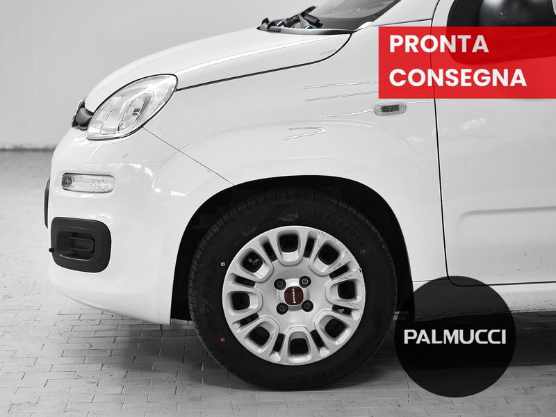 Fiat Panda Cross usata a Prato (7)