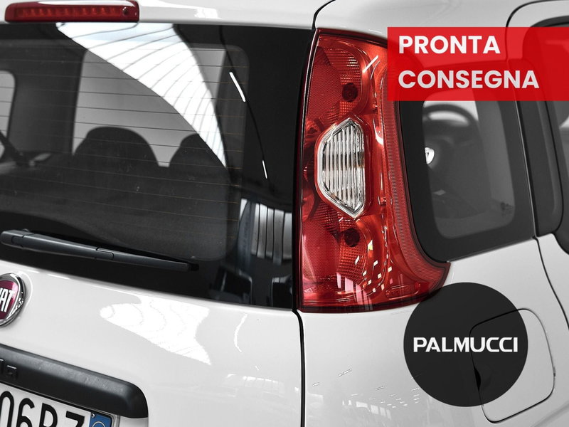 Fiat Panda Cross usata a Prato (8)