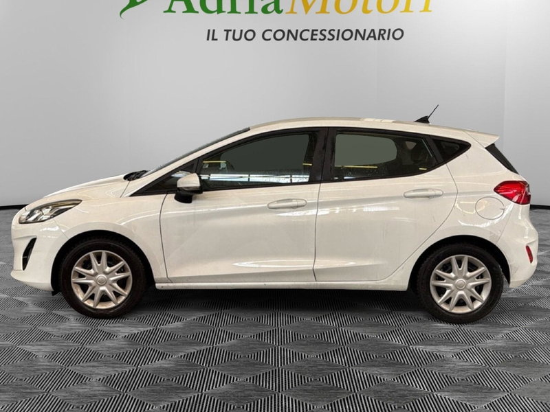 Ford Fiesta usata a Pordenone (2)