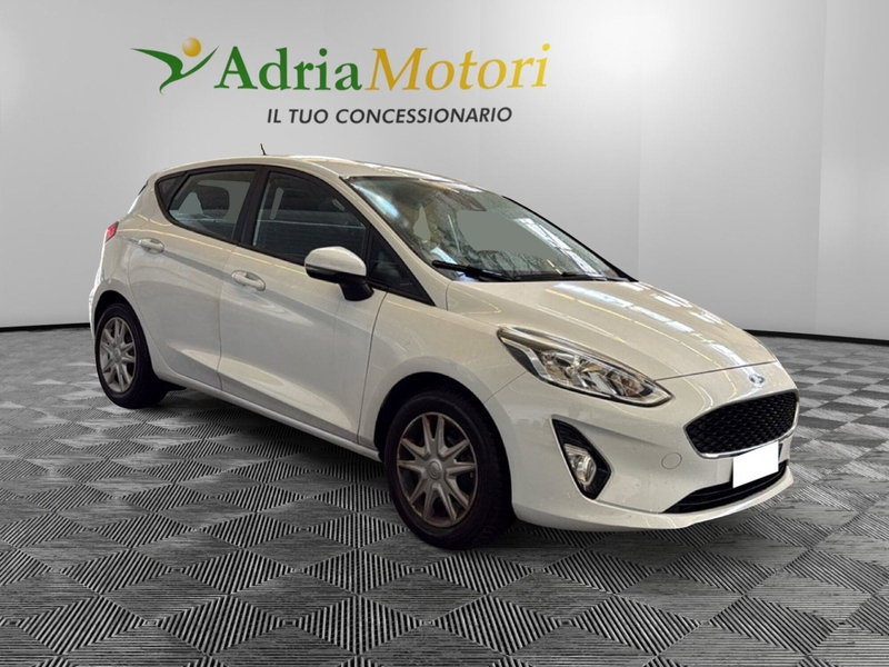 Ford Fiesta usata a Pordenone (7)