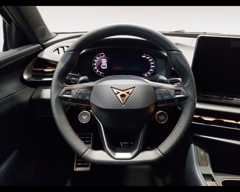 Cupra Terramar nuova a Forlì-Cesena (12)