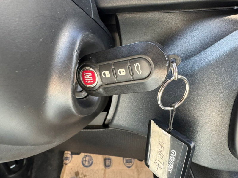 Fiat Panda Cross usata a Salerno (20)