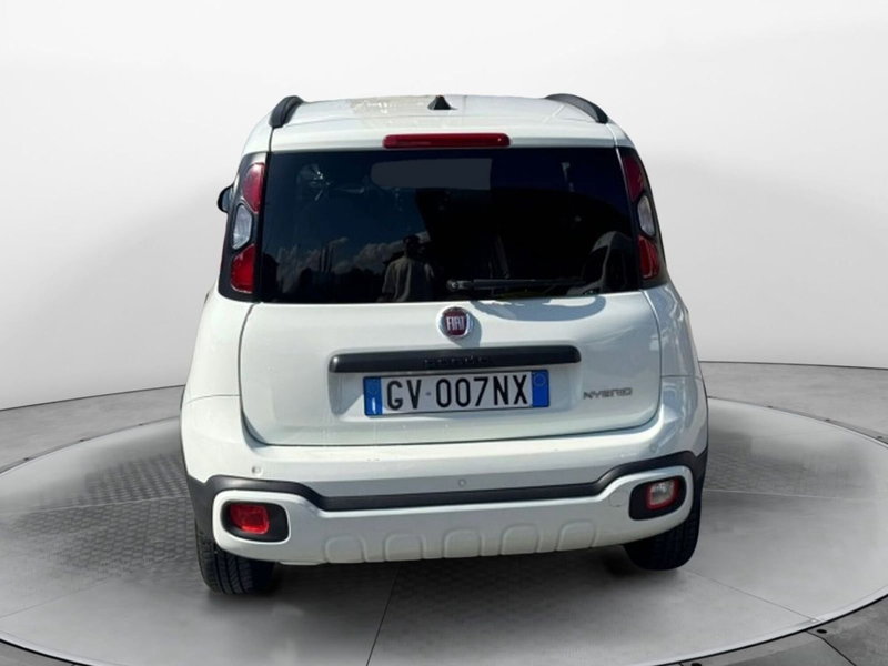 Fiat Panda Cross usata a Salerno (4)