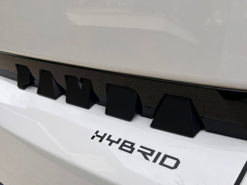 Fiat Grande Panda nuova a Salerno (12)