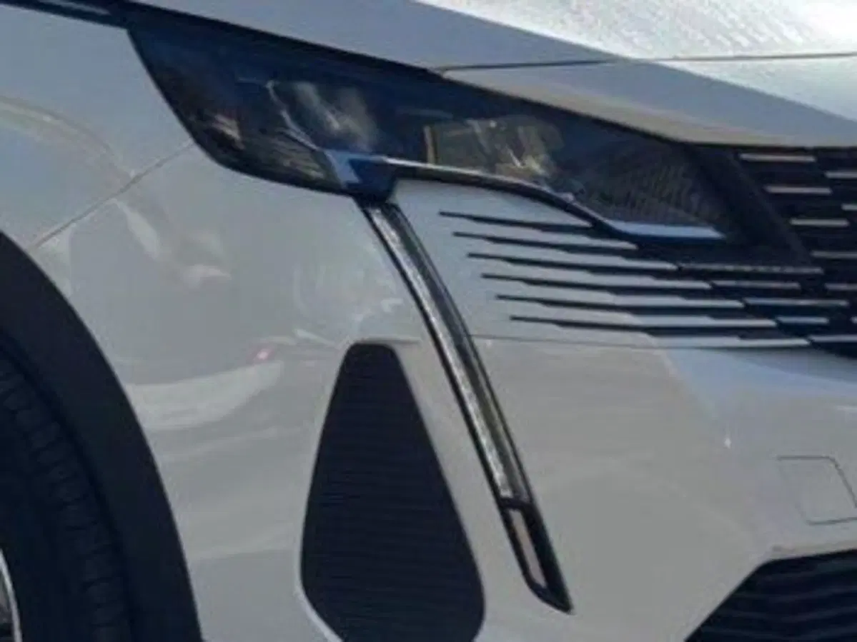 Peugeot 3008 usata a Salerno (19)