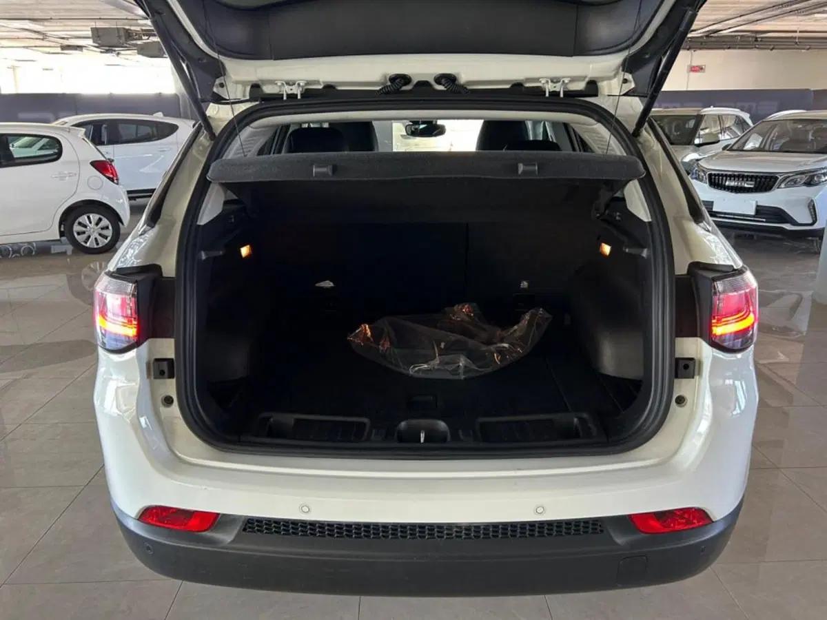 Jeep Compass usata a Salerno (14)