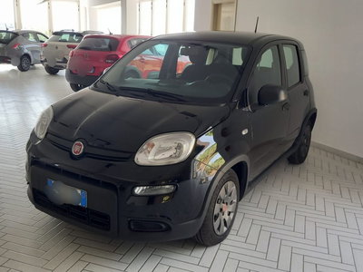 Fiat Panda Cross Cross 1.0 FireFly S&amp;S Hybrid del 2024 usata a Fisciano
