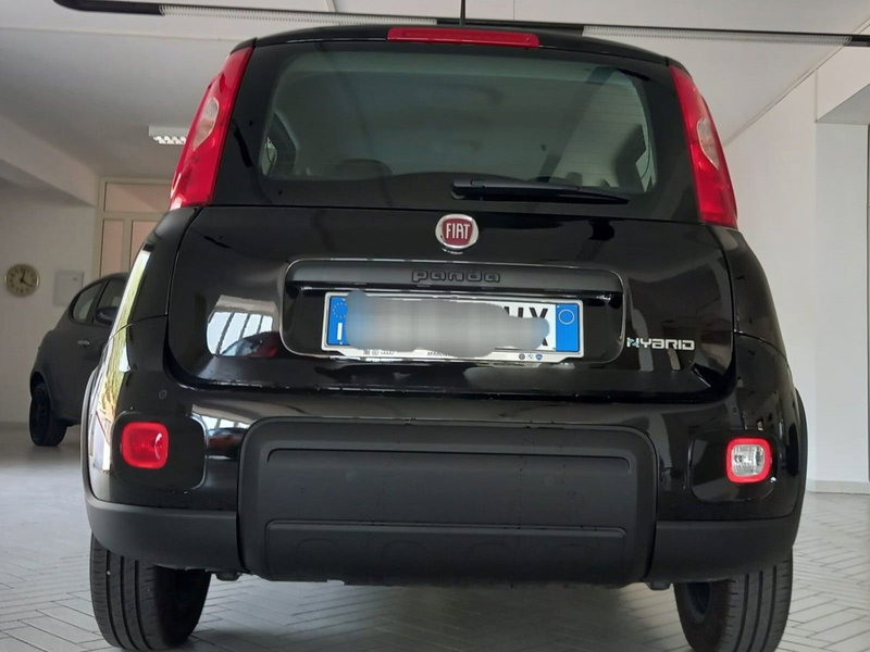 Fiat Panda Cross usata a Salerno (11)
