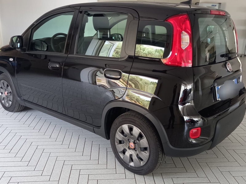 Fiat Panda Cross usata a Salerno (3)
