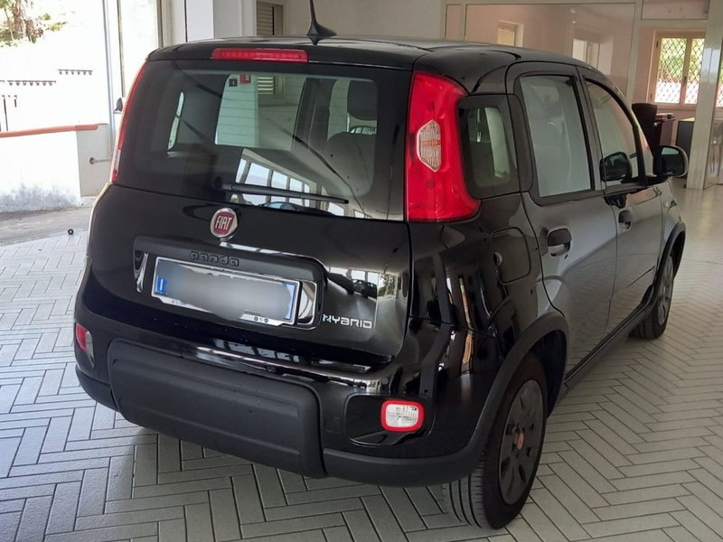 Fiat Panda Cross usata a Salerno (4)