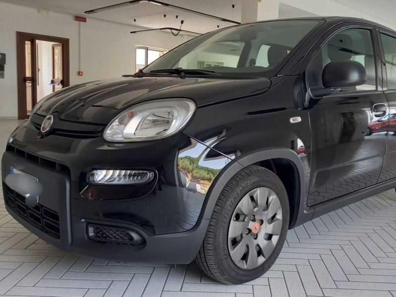 Fiat Panda Cross usata a Salerno (9)