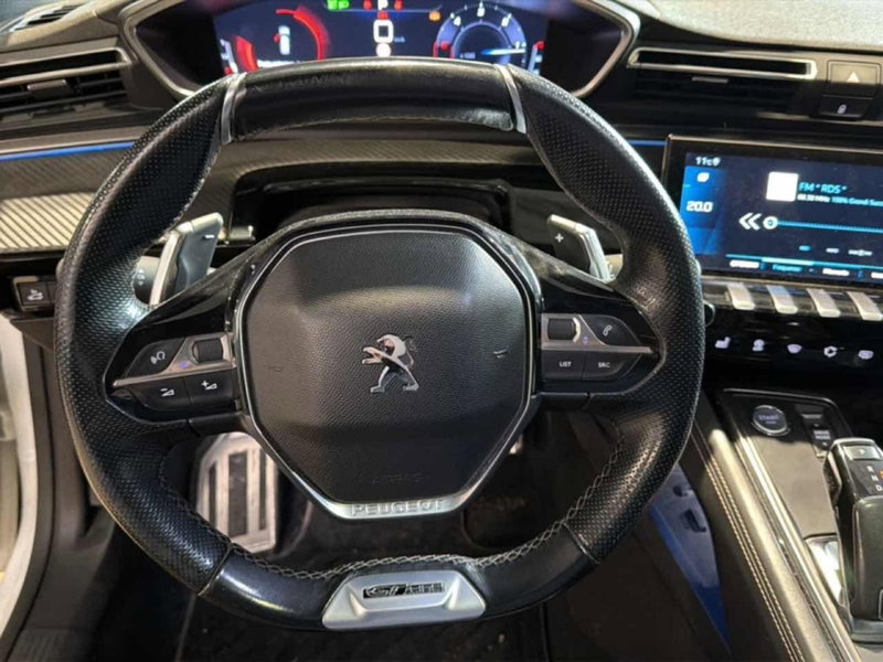 Peugeot 508 usata a Foggia (19)