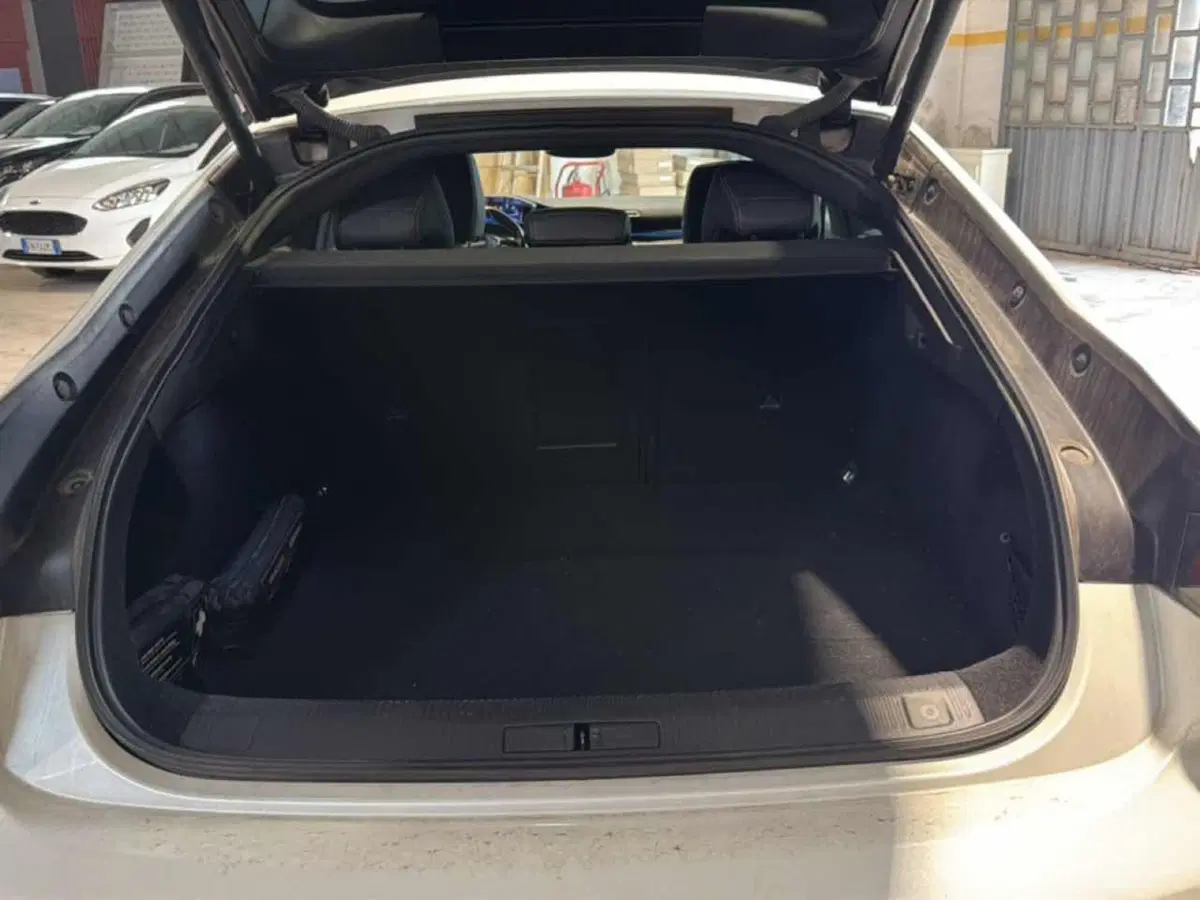 Peugeot 508 usata a Foggia (3)