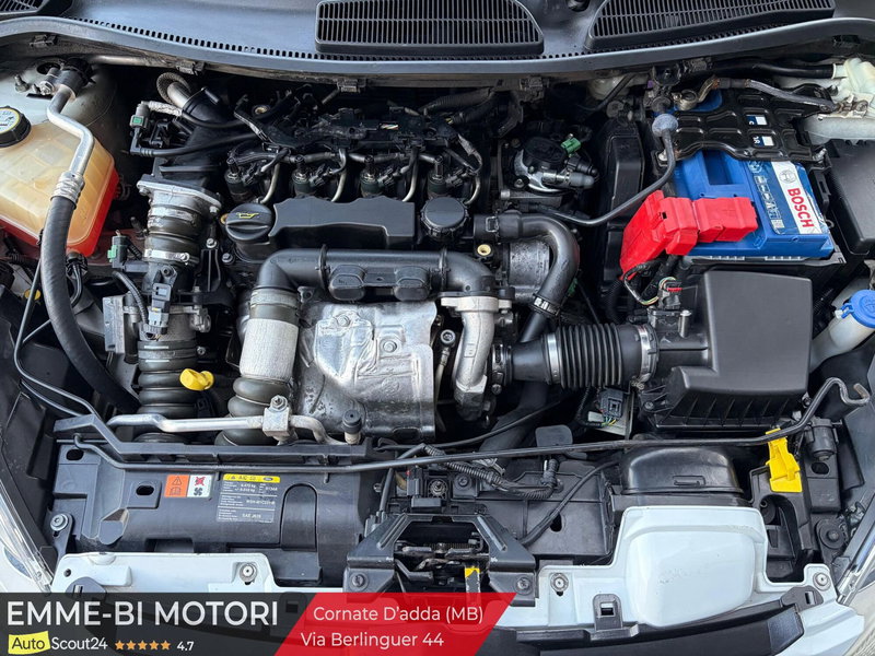 Ford Fiesta usata a Monza e Brianza (9)