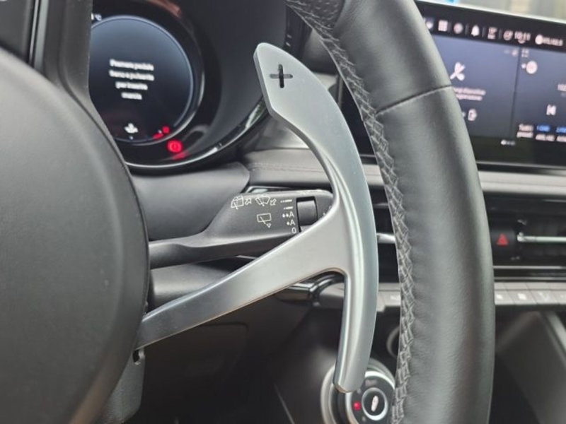 Alfa Romeo Tonale usata a Monza e Brianza (19)