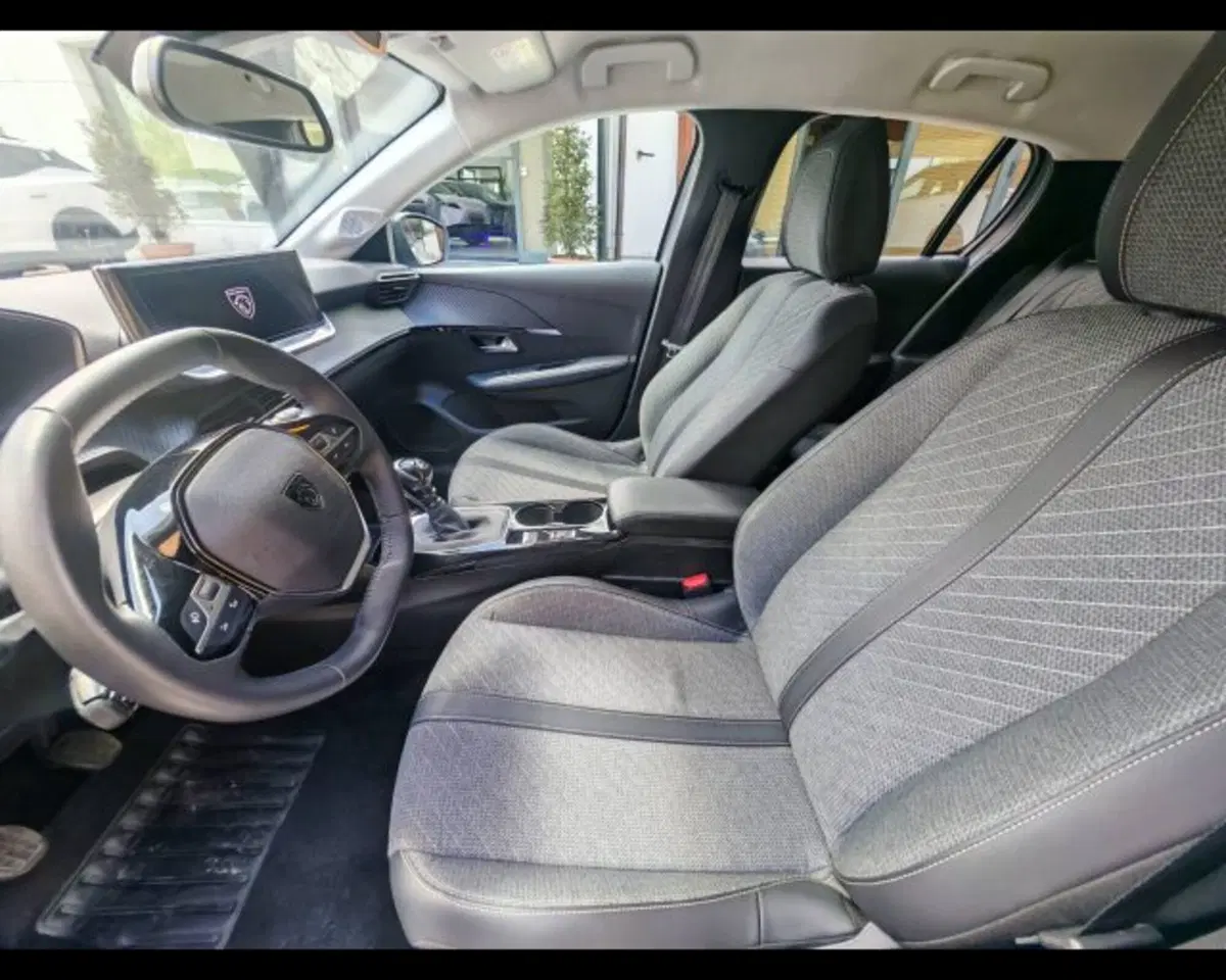 Peugeot 208 usata a Potenza (11)