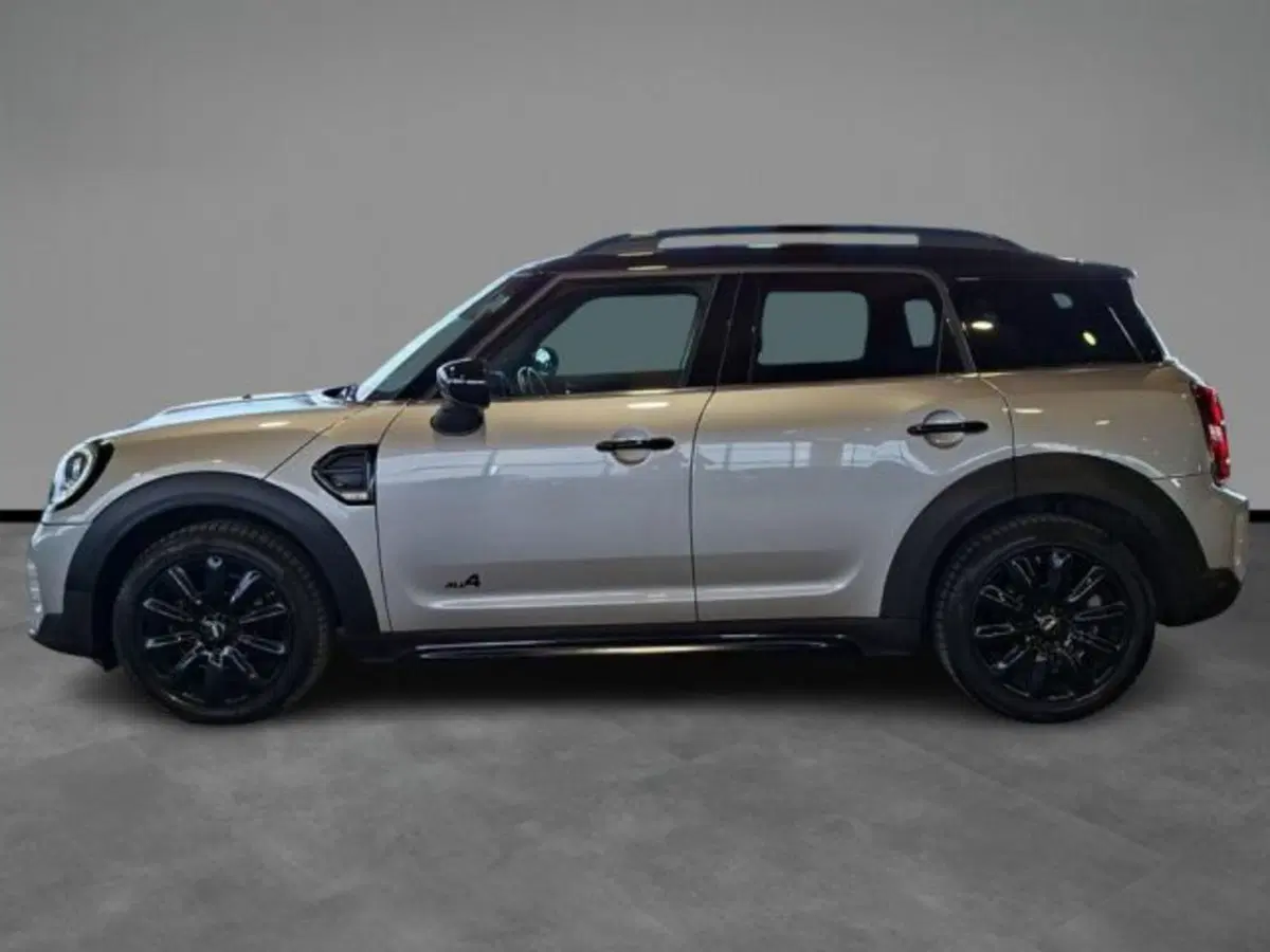 MINI Mini Countryman usata a Verona (3)