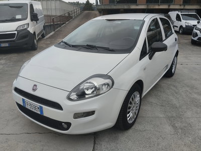 Fiat Punto 1.3 MJT II S&amp;S 95 CV 5 porte Street del 2018 usata a Canelli