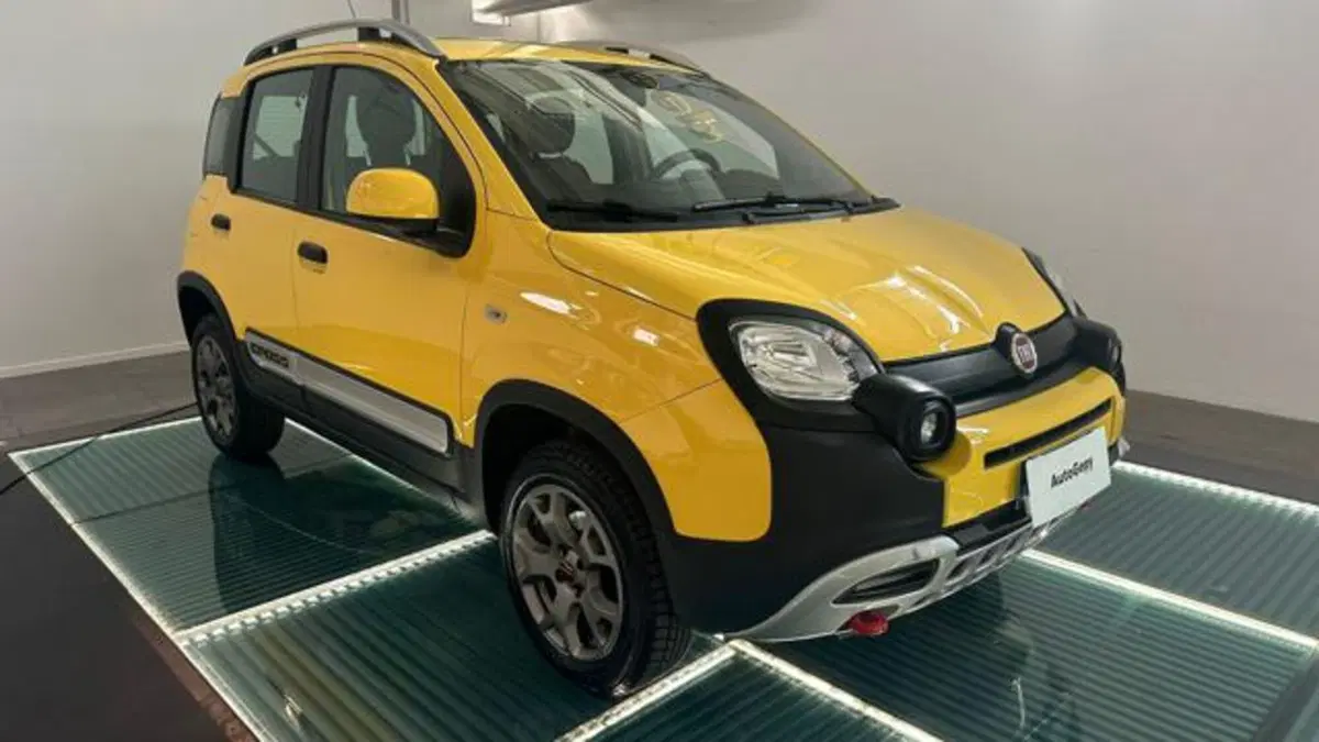 Fiat Panda Cross usata a Reggio Emilia