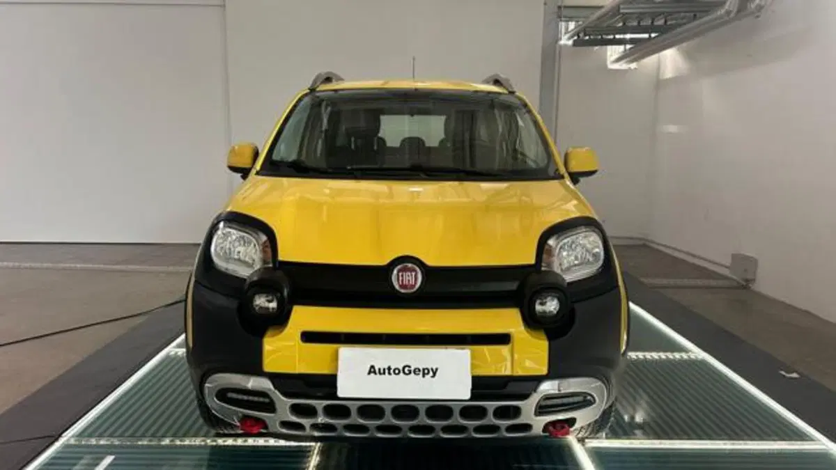 Fiat Panda Cross usata a Reggio Emilia (2)