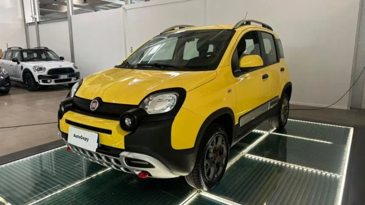 Fiat Panda Cross usata a Reggio Emilia (3)