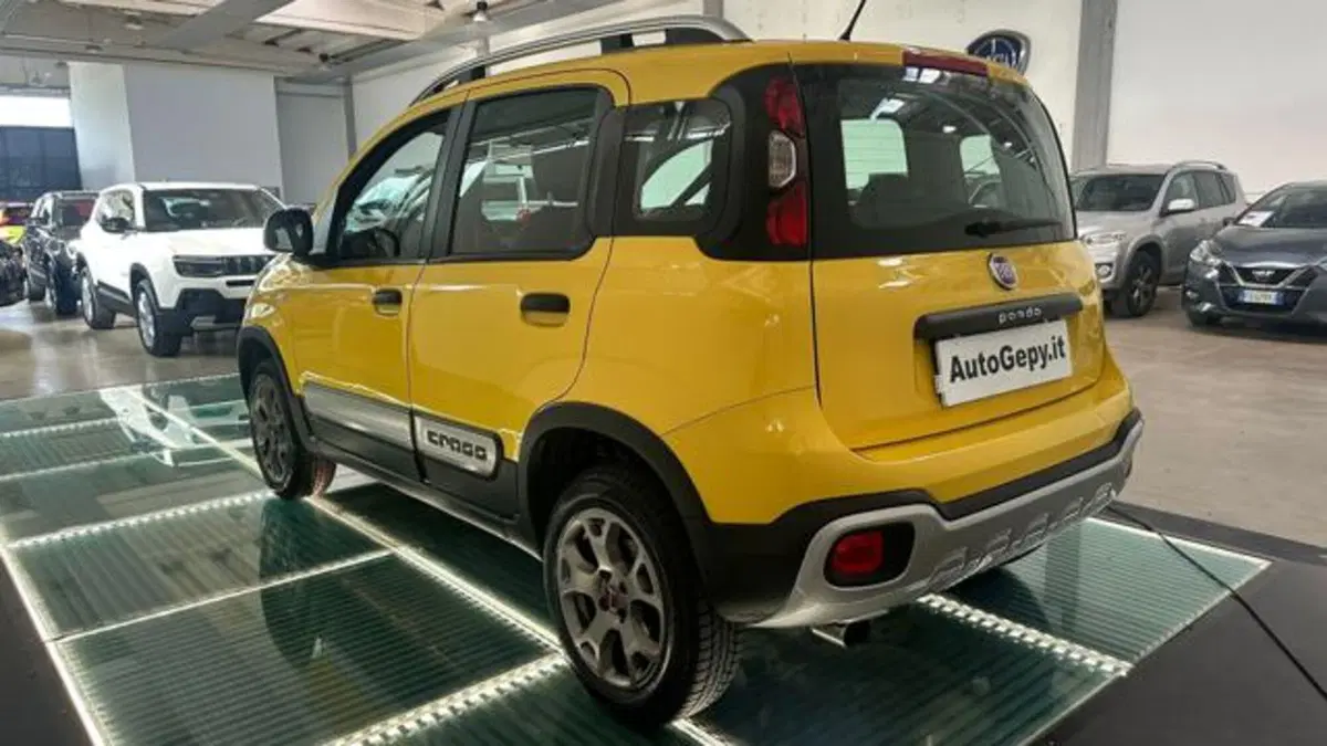Fiat Panda Cross usata a Reggio Emilia (4)