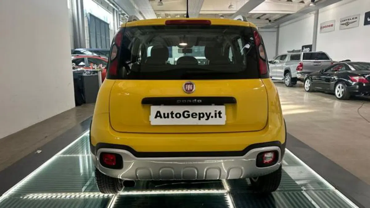 Fiat Panda Cross usata a Reggio Emilia (5)