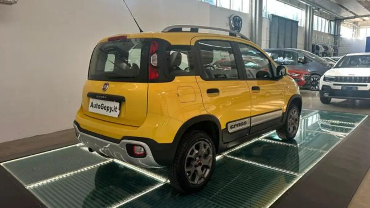 Fiat Panda Cross usata a Reggio Emilia (6)