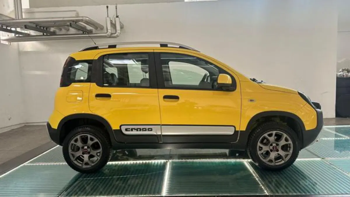 Fiat Panda Cross usata a Reggio Emilia (7)
