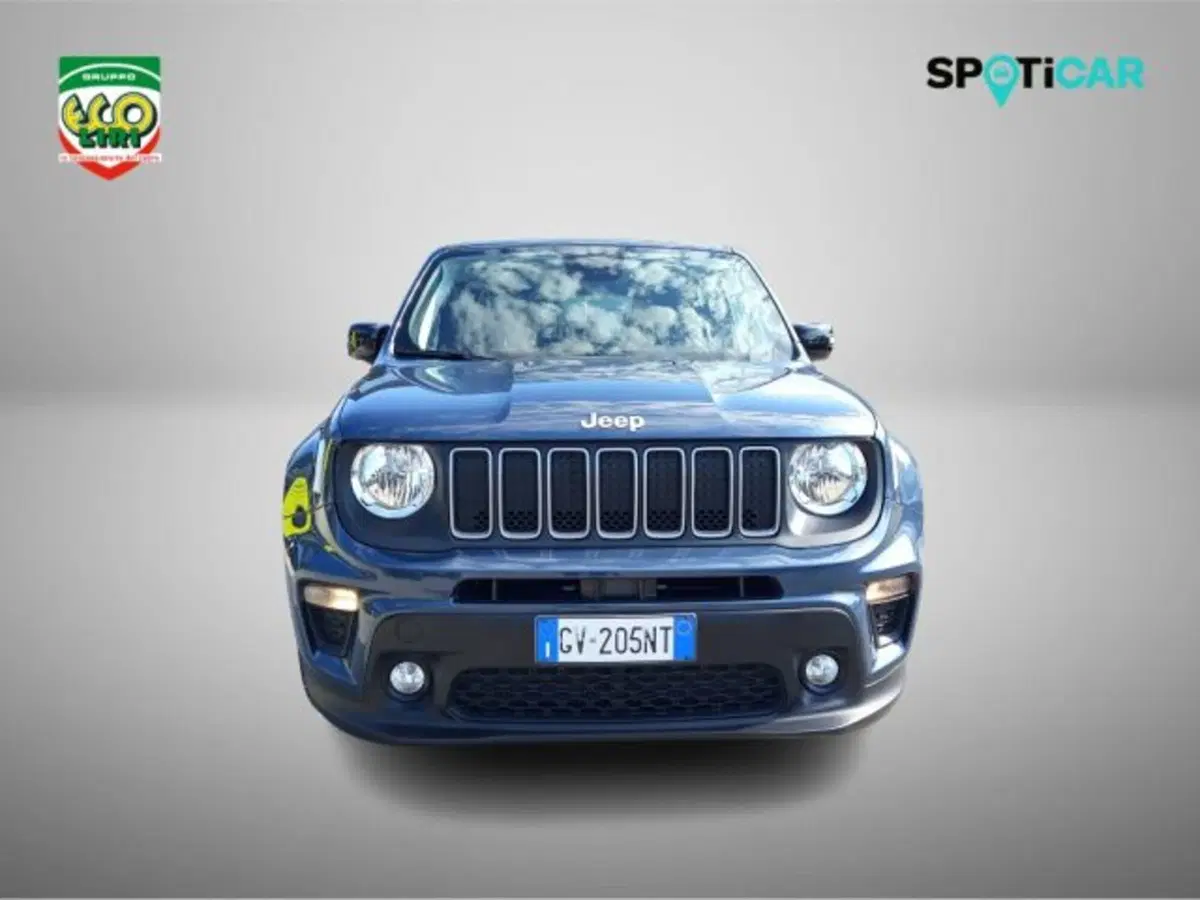 Jeep Renegade usata a Frosinone (2)