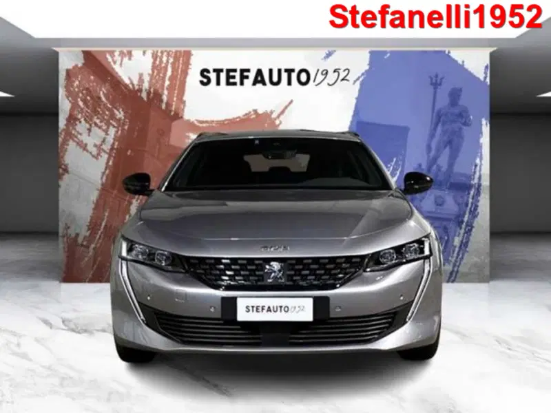 Peugeot 508 SW usata a Bologna (2)