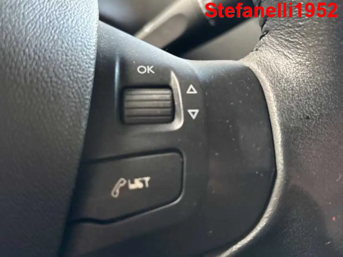 Peugeot 208 usata a Bologna (19)
