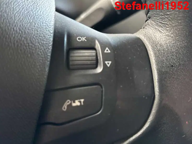 Peugeot 208 usata a Bologna (19)