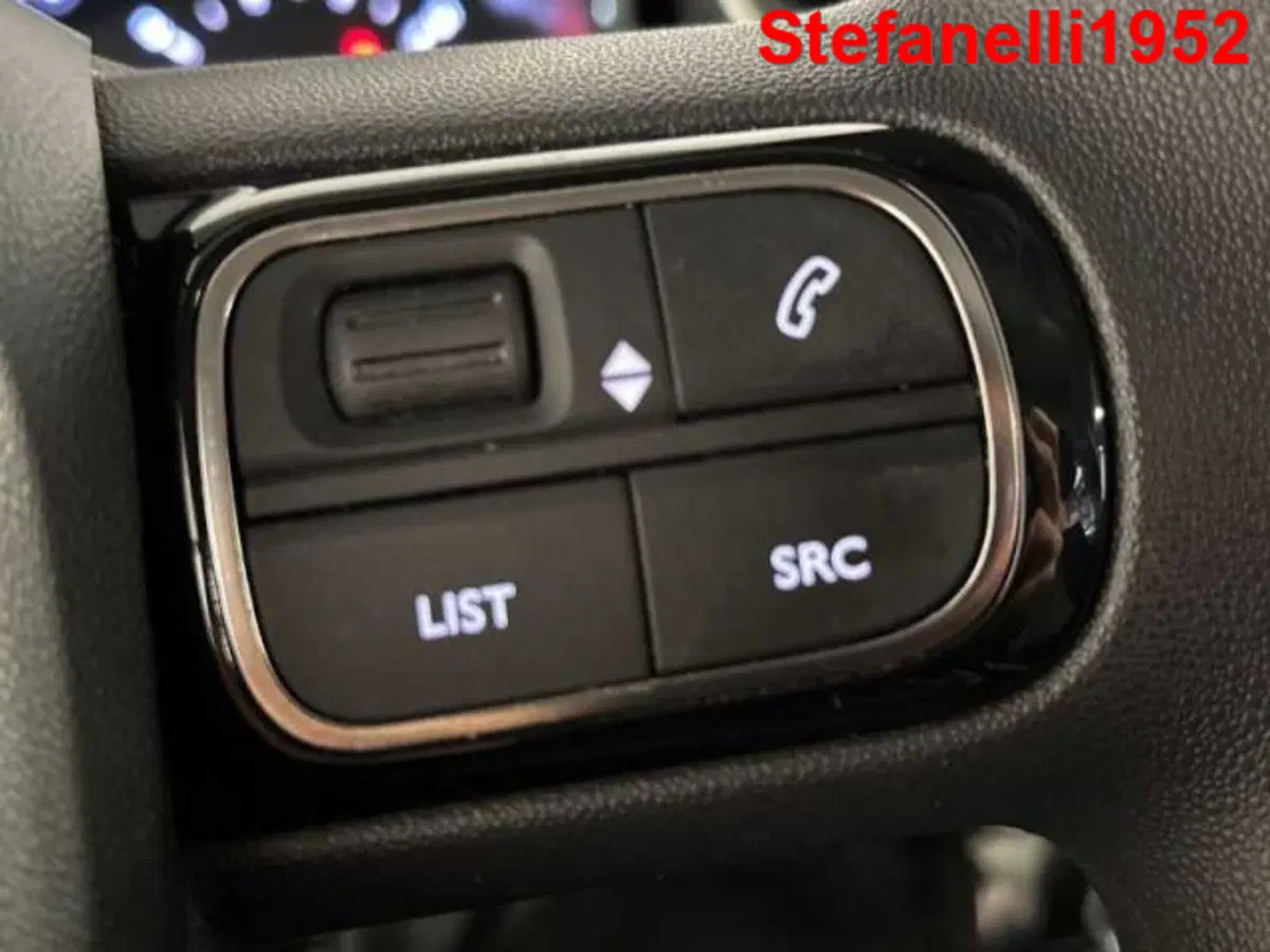 Citroen C3 usata a Bologna (19)