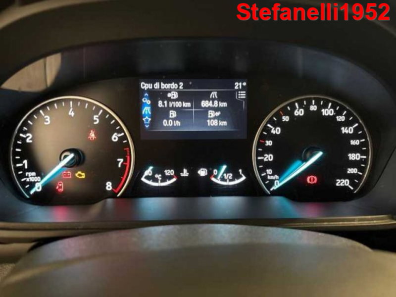 Ford EcoSport usata a Bologna (12)