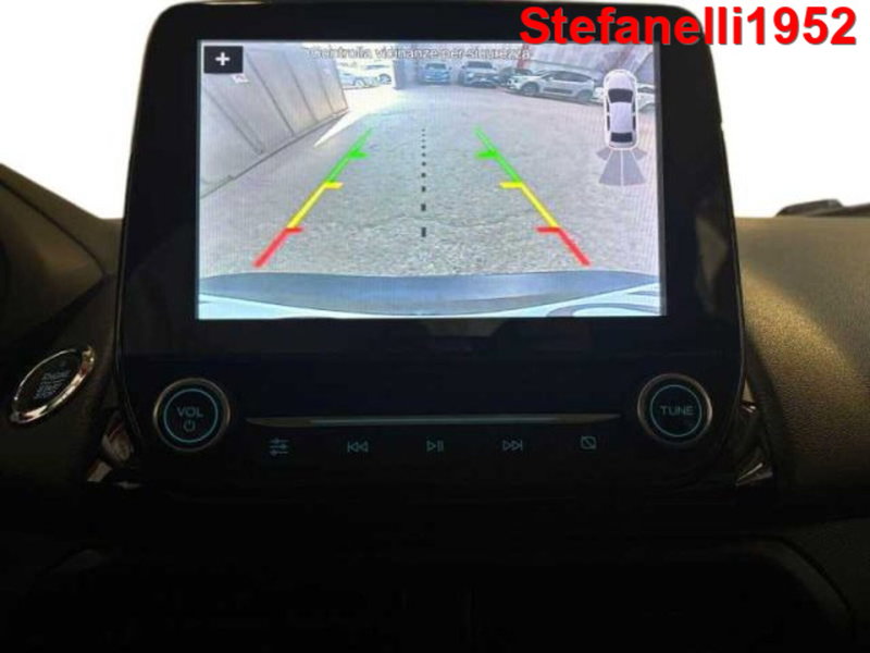 Ford EcoSport usata a Bologna (17)